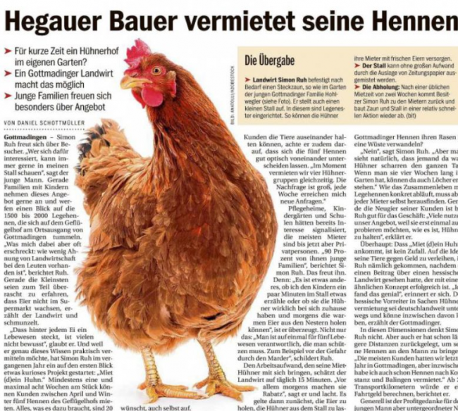 Hegau Bauer vermietet seine Hennen Hegau Bauer vermietet seine Hennen